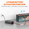 Ładowarka 12V (14.6V) 40A Litime