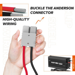 Ładowarka 12V (14.6V) 40A Litime